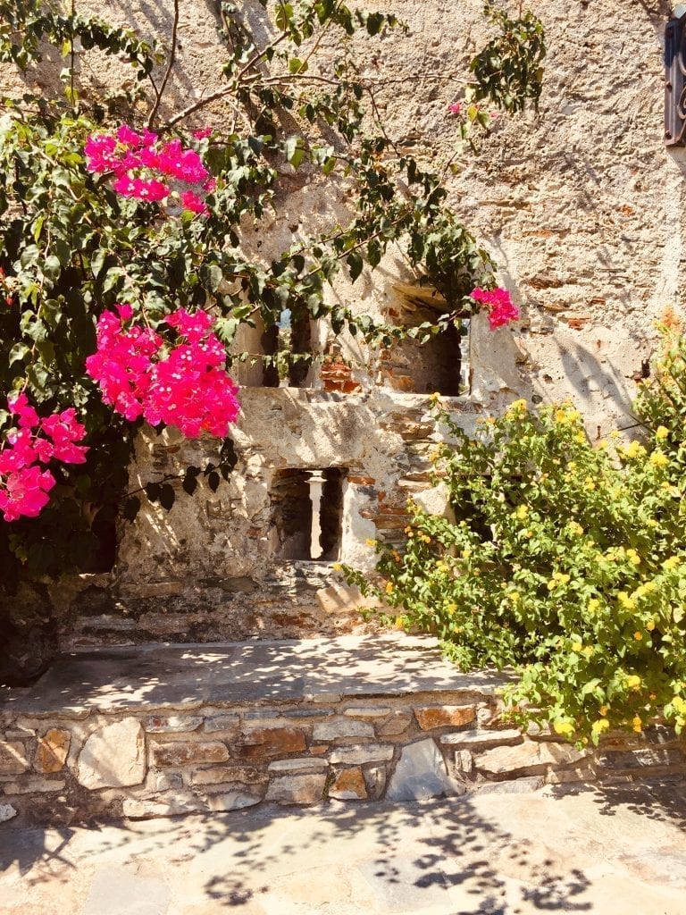 jardin musée de bastia