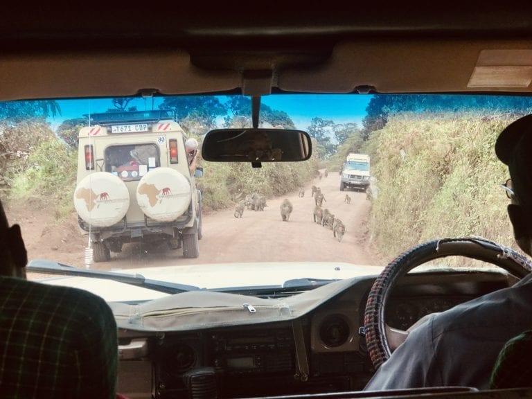 On the way to Serengeti