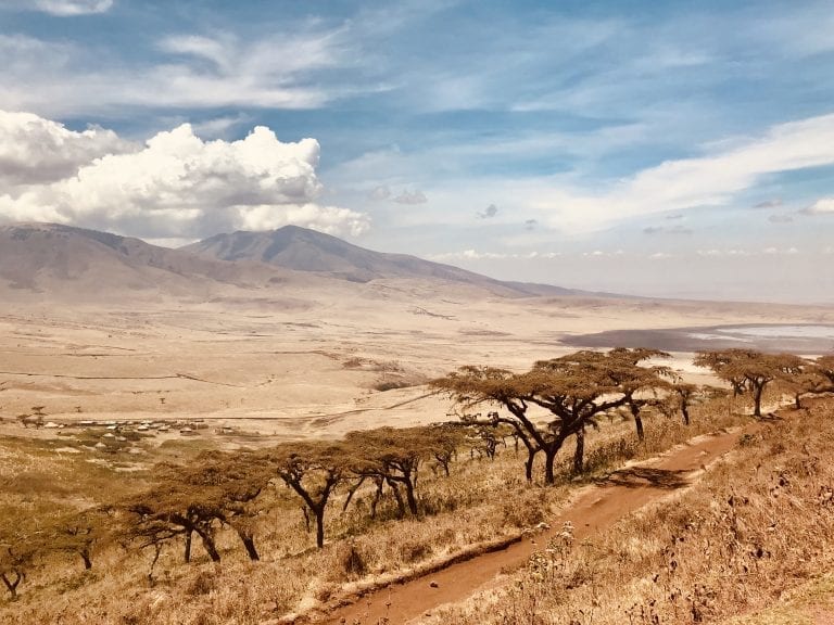 On the road to Serengeti