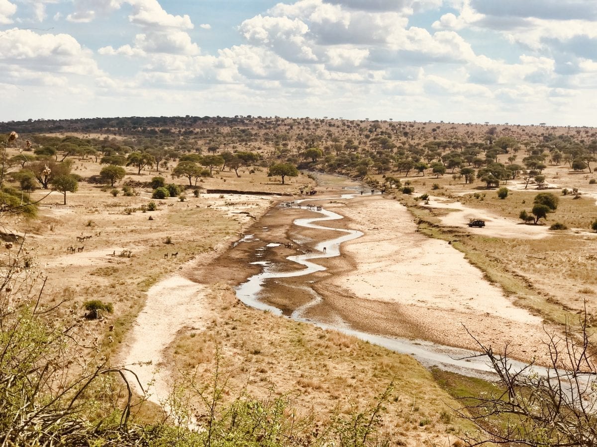 Tarangire point of view