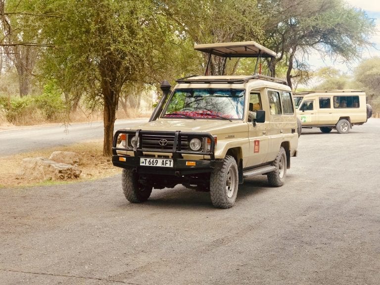 Safari car