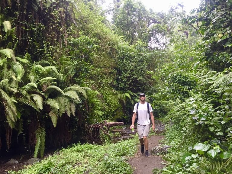 mont meru waterfall