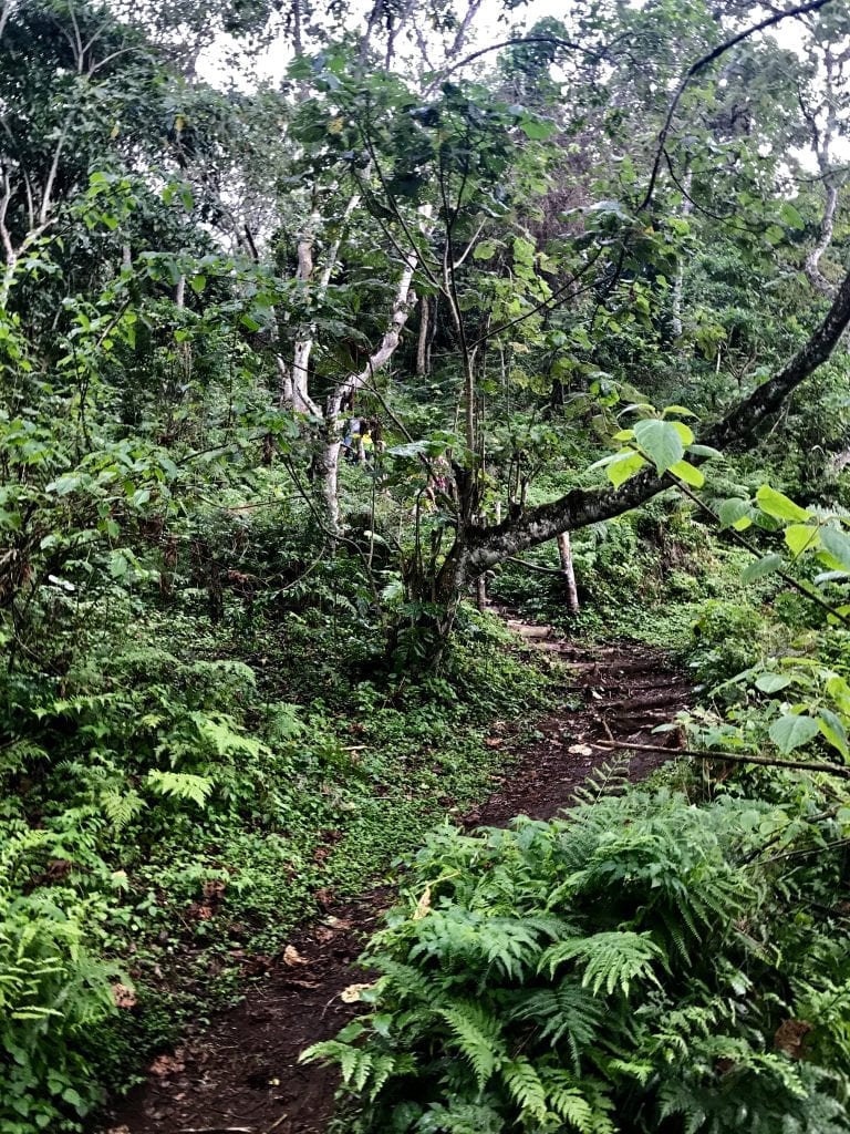 mont meru waterfall