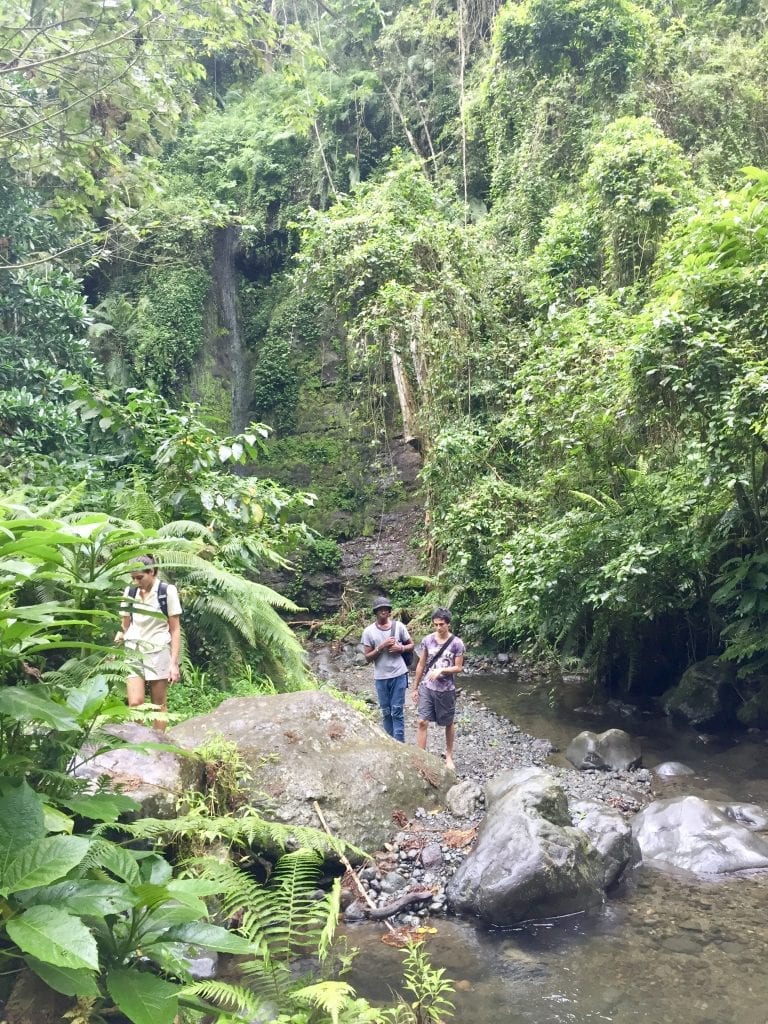 mont meru waterfall