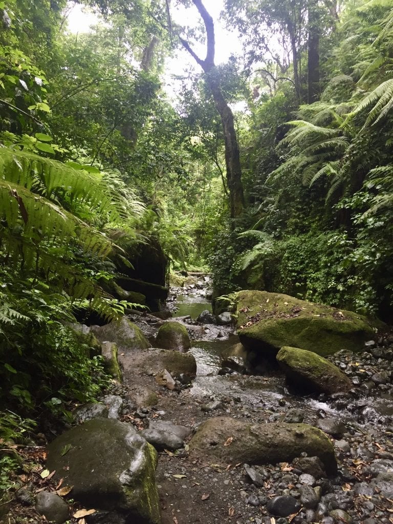 mont meru waterfall